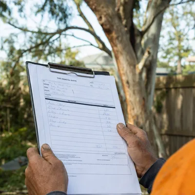 Reading a written tree removal quote on site in Canberra