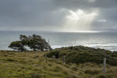 Frost, hot summers, sudden squalls, Canberra