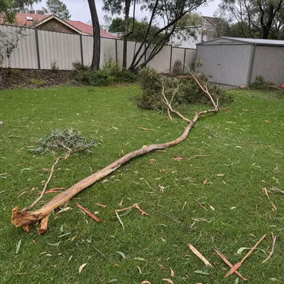 Before: Storm callout, limb through a carport, Canberra