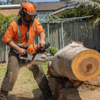 Tree Removal services in Canberra by local qualified arborists