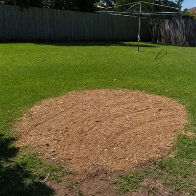 Chips left on site, Canberra