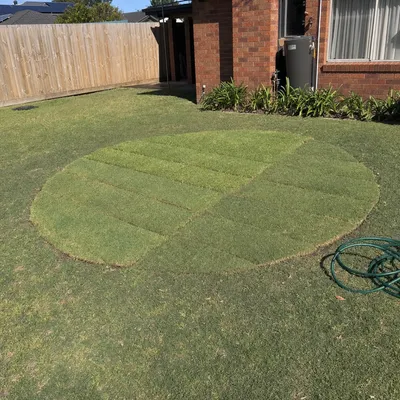 Stump ground 150–300mm below surface, Canberra